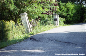 Route dforme et clture penche au lotissement du Mas  Avignonet