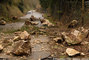 Chutes de pierres et de blocs sur la RD 48