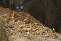 Eboulement sur la RD 199  l'Est du col de la Bataille