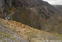 Eboulement sur la RD 199  l'Est du col de la Bataille