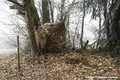 Eboulement au hameau des Granges  Brison-Saint-Innocent (Savoie)