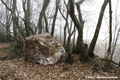 Eboulement au hameau des Granges  Brison-Saint-Innocent (Savoie)