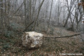 Eboulement au hameau des Granges  Brison-Saint-Innocent (Savoie)