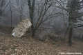 Eboulement au hameau des Granges  Brison-Saint-Innocent (Savoie)