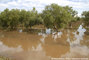 Inondations du Var - plaine de l'Argens