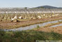 Inondations du Var - plaine de l'Argens