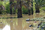 Inondations du Var - plaine de l'Argens