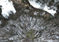 Glissement de terrain sur la RD 35  Gerbaix (Savoie)