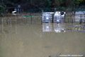 Inondation du quartier Saint-Lazare