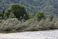 Crue du ruisseau de l'Holme - au niveau de la confluence avec la Loire deux jours aprs la crue