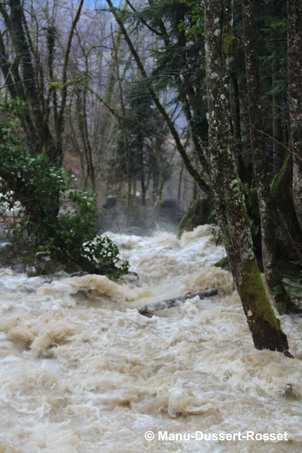 Crue du ruisseau de Jonier sur la commune du Gua suite au passage de la tempête Eleanor