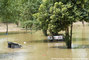 Inondations du Var - le Muy
