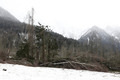 Avalanche du Bourgeat du 09/01/2018