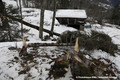 Avalanche du Bourgeat du 09/01/2018