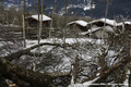 Avalanche du Bourgeat du 09/01/2018