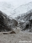 Avalanche du Bourgeat du 09/01/2018