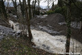 Crue torrentielle du torrent de Montfort  Lumbin et Crolles le 29 dcembre 2021