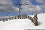 Barrires  neige dans la combe du Replat