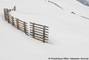 Barrires  neige dans la combe du Replat