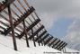 Rteliers paravalanches dans la combe du Replat