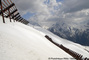 Rteliers paravalanches dans la combe du Replat