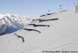 Rteliers paravalanches dans la combe du Replat