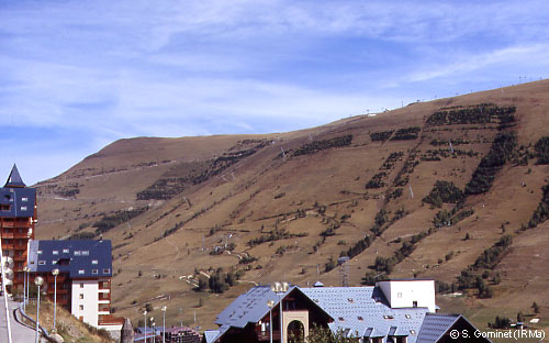 Reboisements paravalanches - versant Ouest de l'Alpe de Mont de Lans