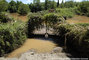 Inondations du Var - plaine de l'Argens, camping 