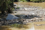 Inondations du Var - plaine de l'Argens, camping 