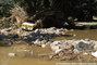 Inondations du Var - plaine de l'Argens, rive gauche du lac de l'Arna