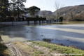 Crue du Rhne  Sablons le 24 janvier 2018 le long de la route du Page