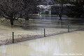 Crue du Rhne  Sablons le 24 janvier 2018 le long de la route du Page