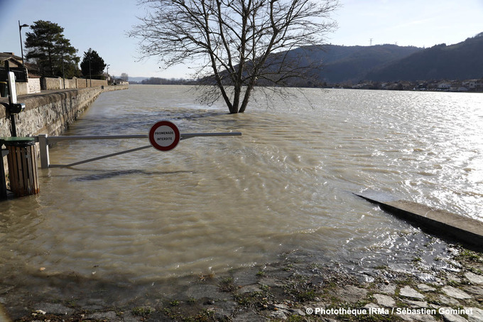 Crue du Rhône à Sablons le 24 janvier 2018 - Ile de la Platière