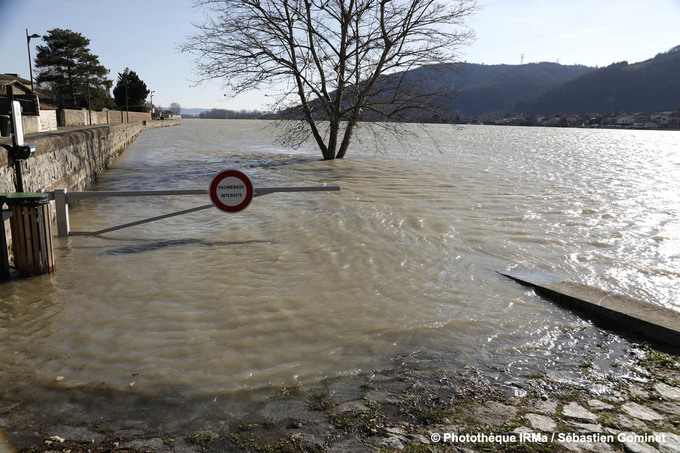 Crue du Rhne  Sablons le 24 janvier 2018 - Ile de la Platire