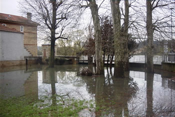 Crue de la Sane