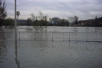 Crue de la Sane