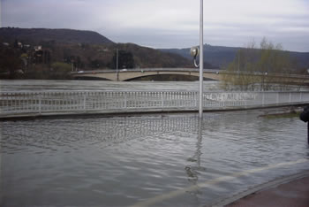 Crue de la Sane