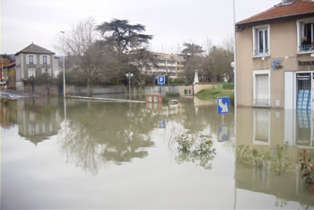 Crue de la Sane
