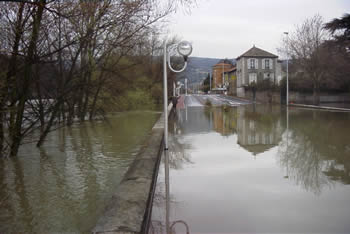 Crue de la Sane