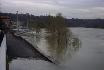 Crue de la Sane