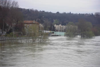 Crue de la Sane