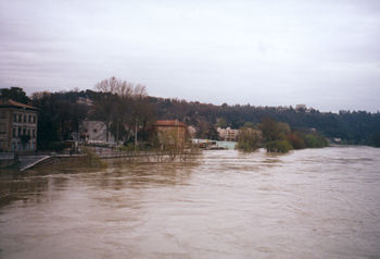 Crue de la Sane