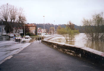 Crue de la Sane