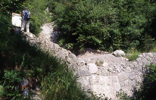 circuit du torrent de Corbonne : point d'observation n7