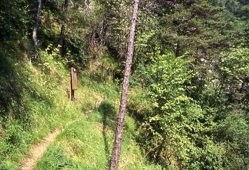 Circuit du torrent de Corbonne : point d'observation n10