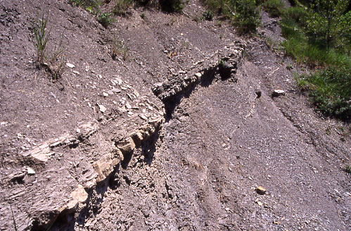 Erosion dans le bassin de rception du torrent de Corbonne