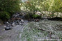 Crue du torrent Le Malnant