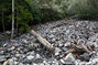Crue du torrent Le Malnant