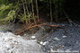 Crue du torrent Le Malnant