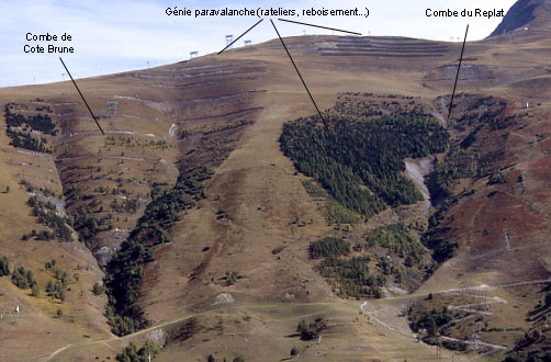 Les couloirs d'avalanches du versant du Diable